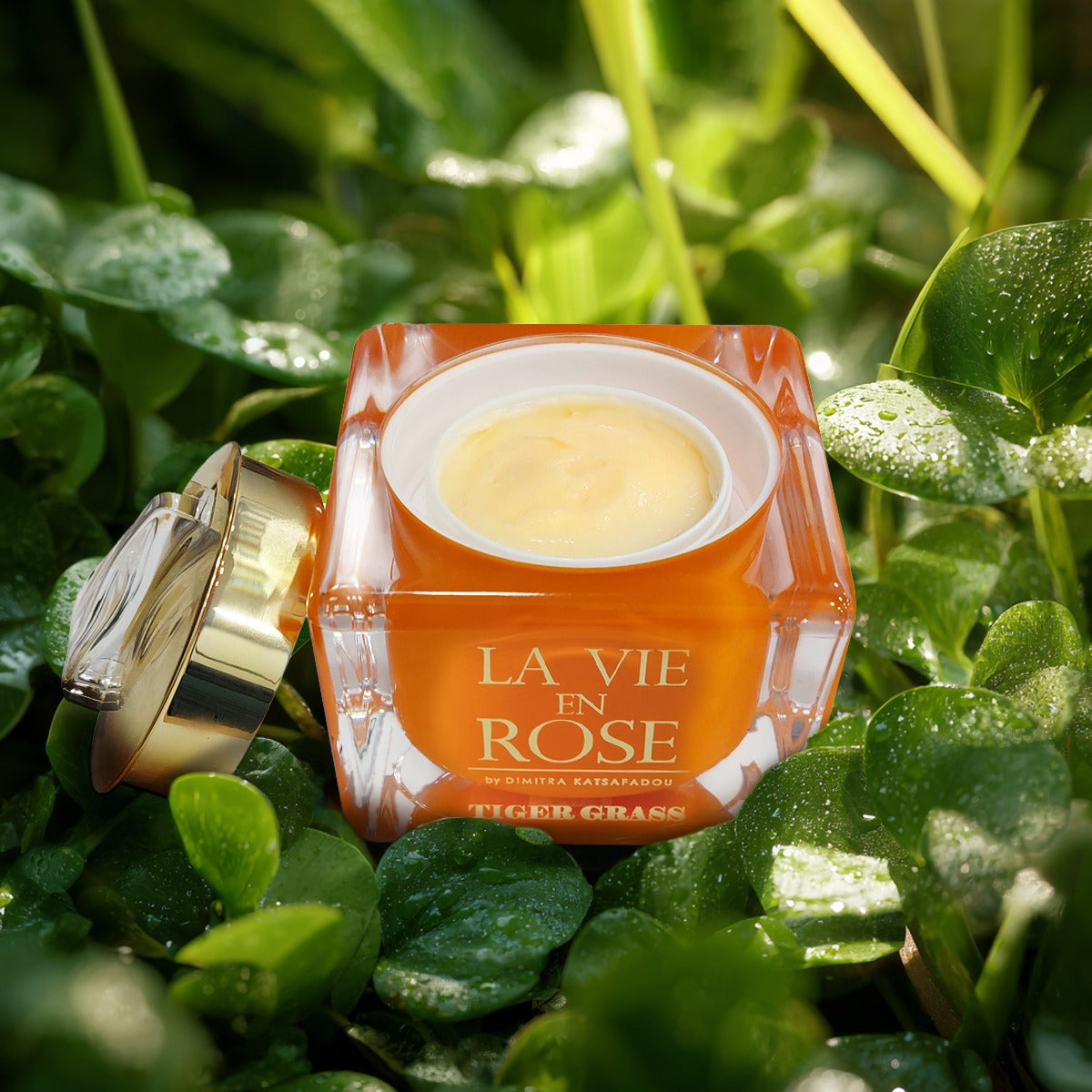 Tiger grass 50ml